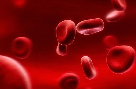 Как быстро поднять гемоглобин в крови в домашних условиях